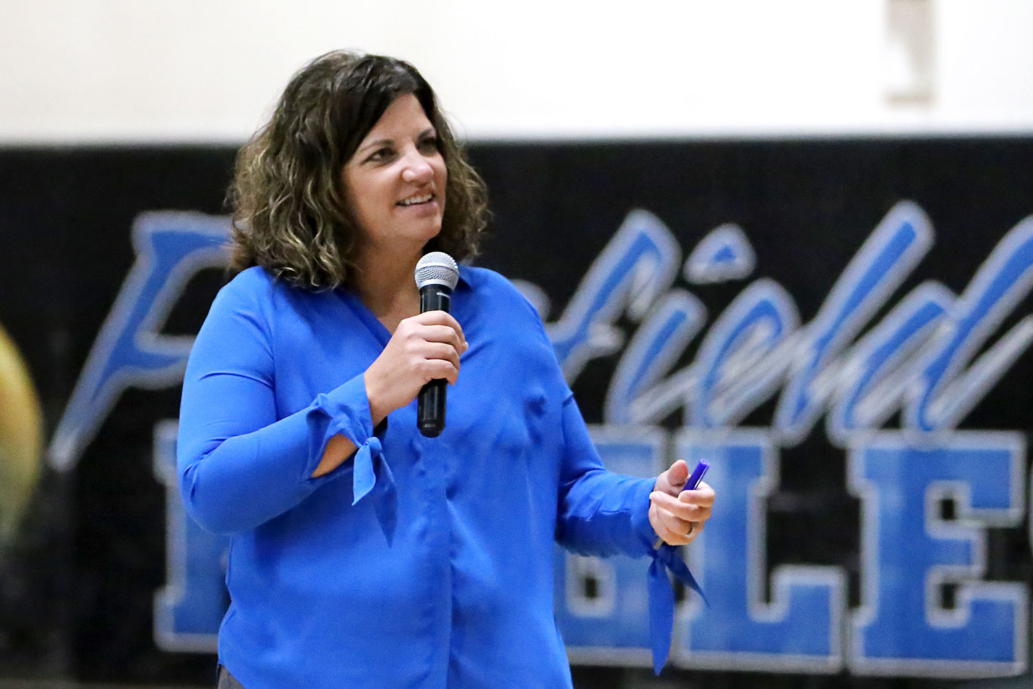 FES principal